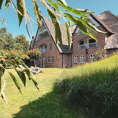 9 Boehler Brise Comfortable